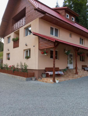 Cabana Claudia Briciu Arieşeni